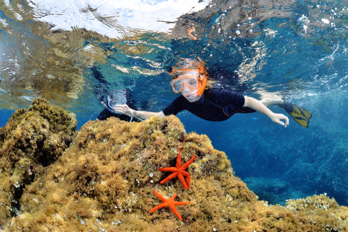 Snorkeling dans le golfe de Calvi