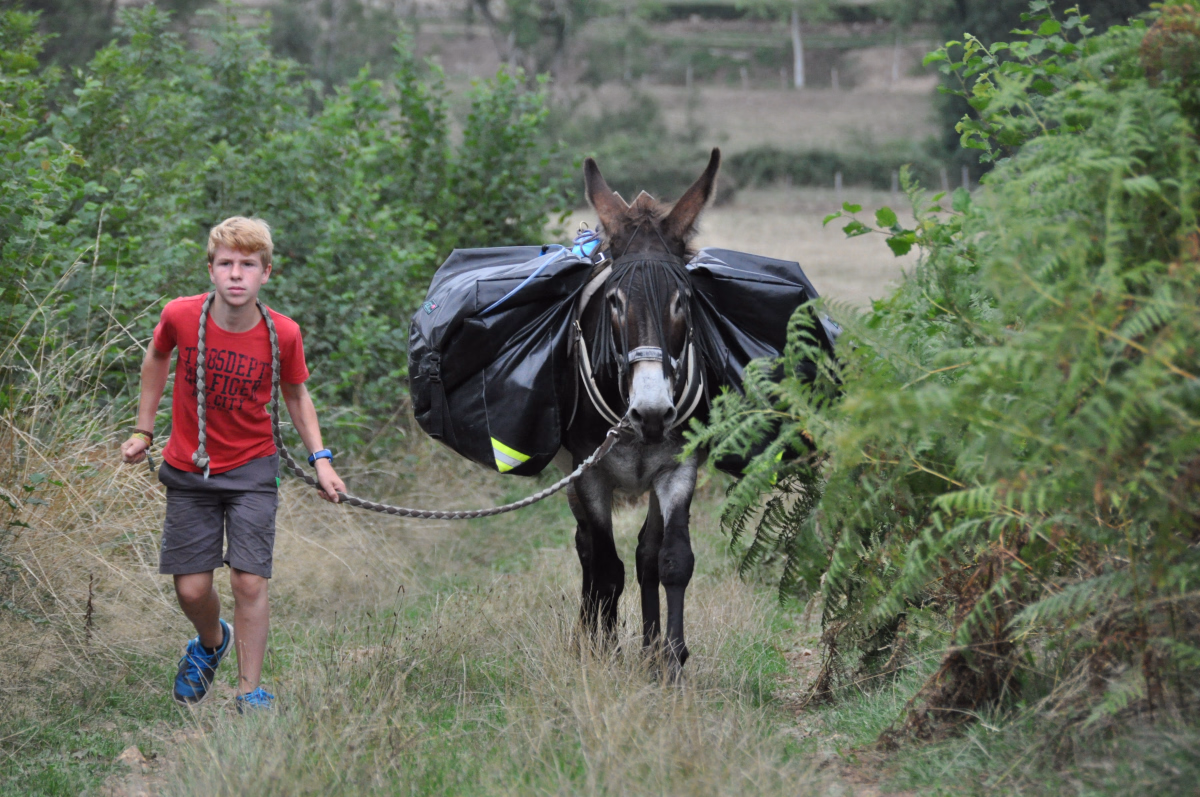 5 jours d'aventure multi-activités en Bourgogne du Sud