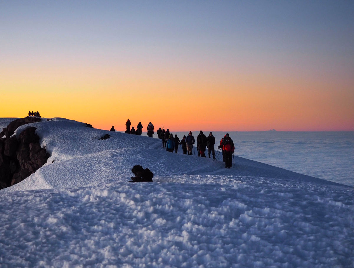 Kilimandjaro voie Machame : confort et liberté en trek privé