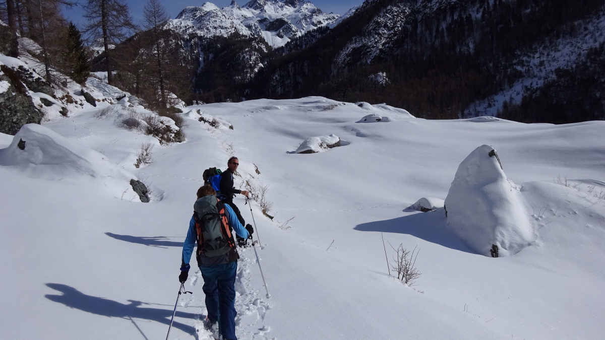 Val d'Aoste et Val de cogne à raquettes