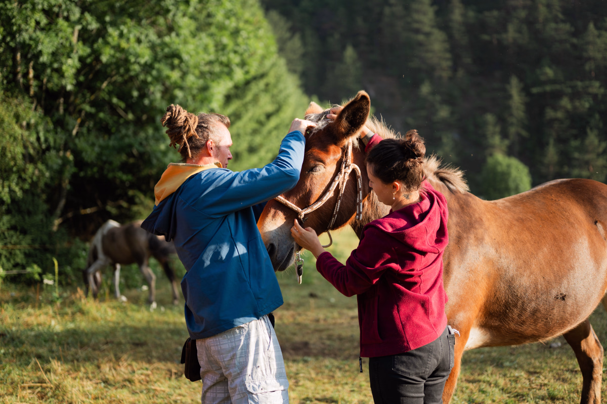 Voyage à cheval - Stage Mountain Trail et Randonnée dans le vallon de la Jarjatte