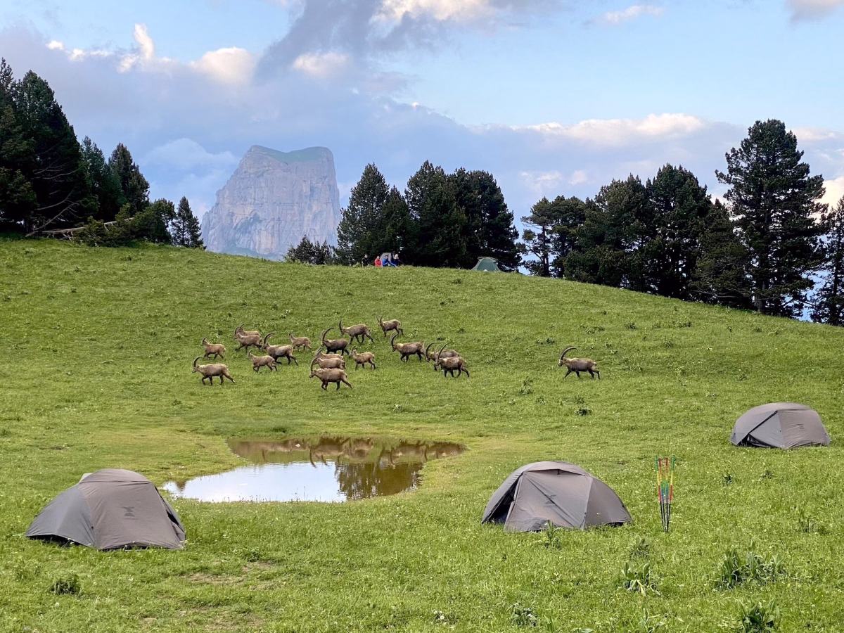 Trek bivouac sur les hauts-plateaux du Vercors