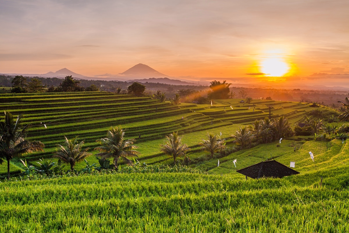 Voyage à vélo - Bali à vélo électrique entre rizières, volcans et villages cachés