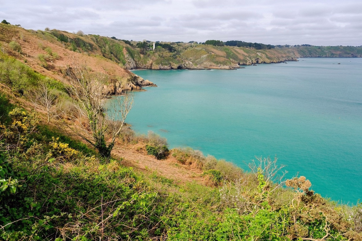 La côte du Goëlo : de l'île de Bréhat aux falaises de Plouha