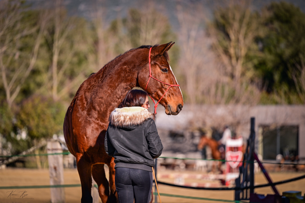 Voyage à cheval - Séjour éthologie à cheval en Corse