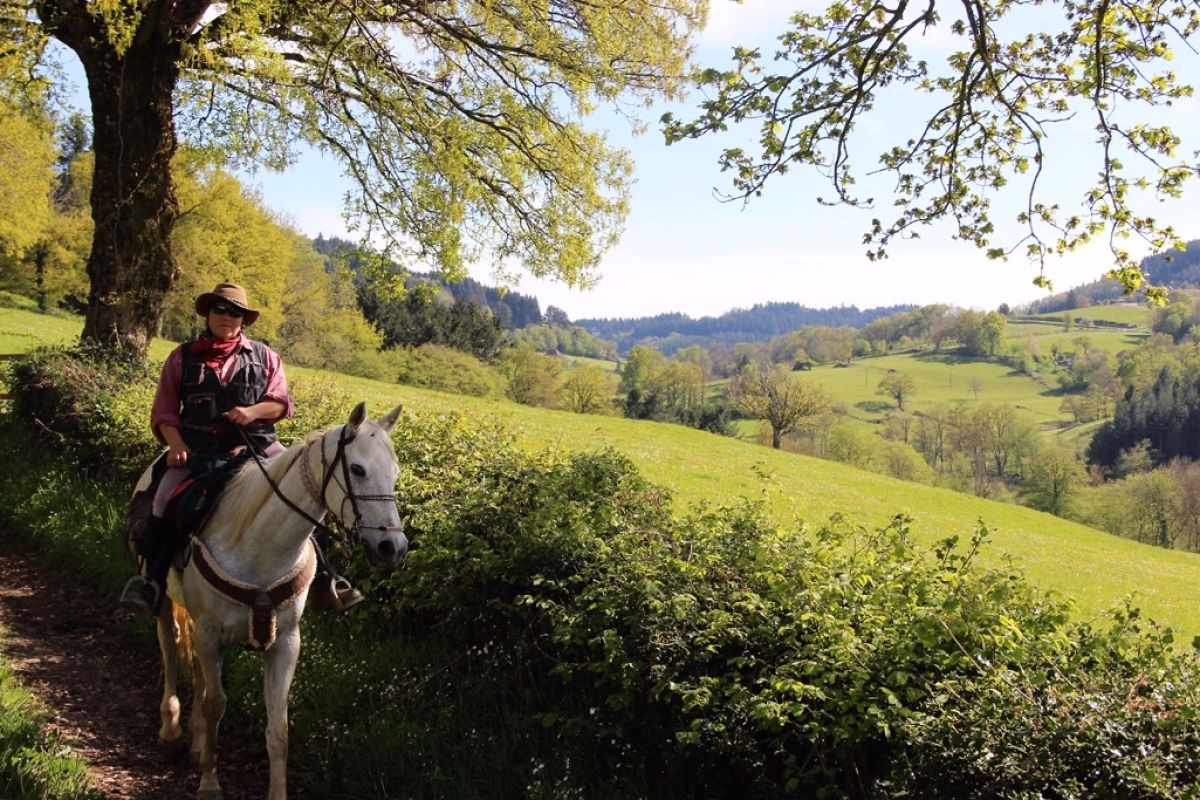 Voyage à cheval - Randonnée à cheval en Bourgogne du Sud, entre charme et terroir