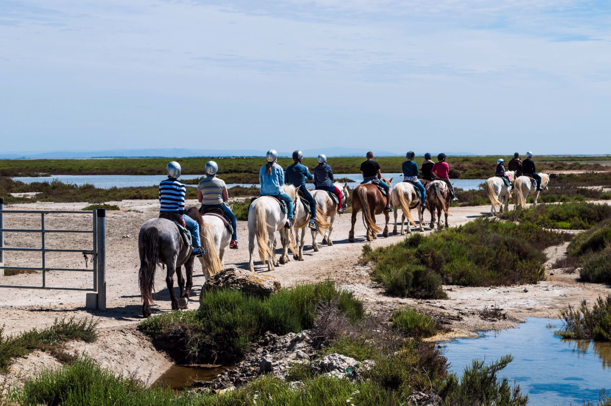 Voyage à cheval - Découverte de la Camargue à cheval en trois jours