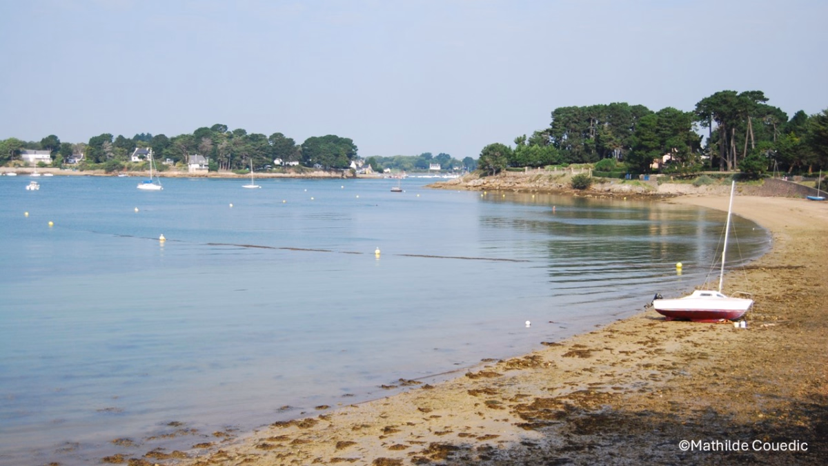 Exploration et randonnée dans le Golfe du Morbihan