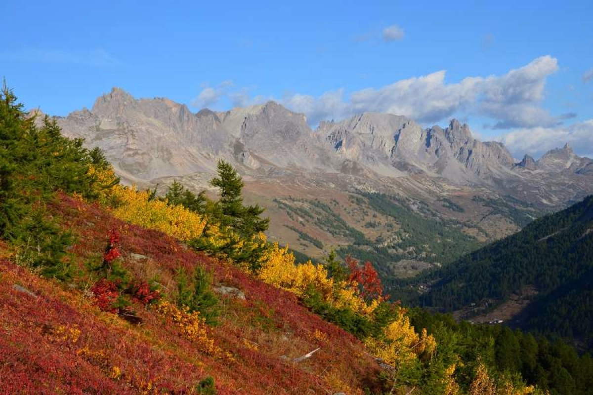 Randonnée-photo en Clarée aux couleurs flamboyantes de l'automne