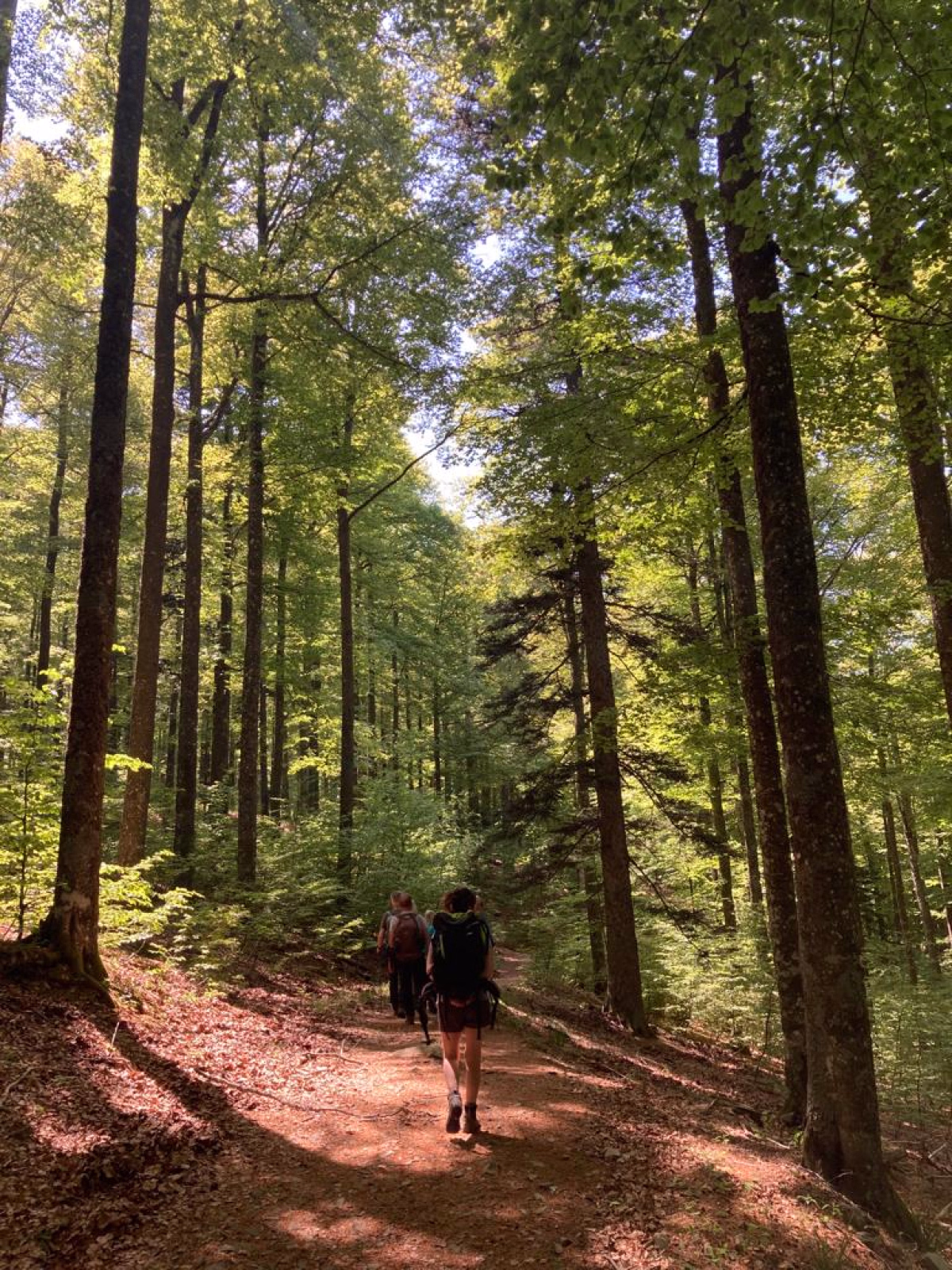 Randonnée et bien-être dans les Hautes Vosges