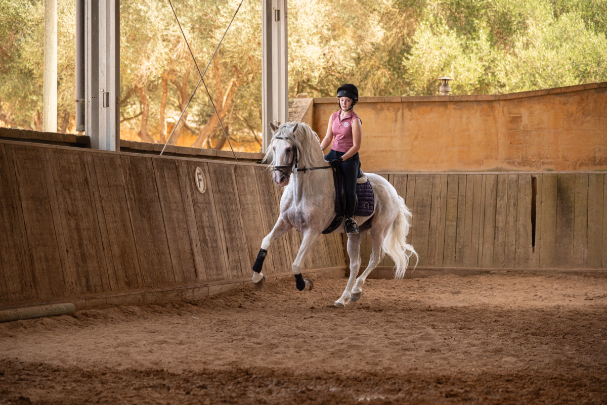 Stage perfectionnement dressage à Majorque