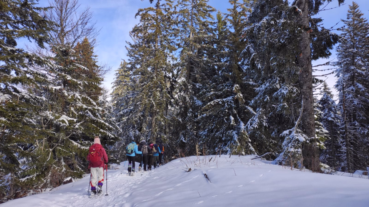 Les alpages et les vallons de chartreuse en raquettes