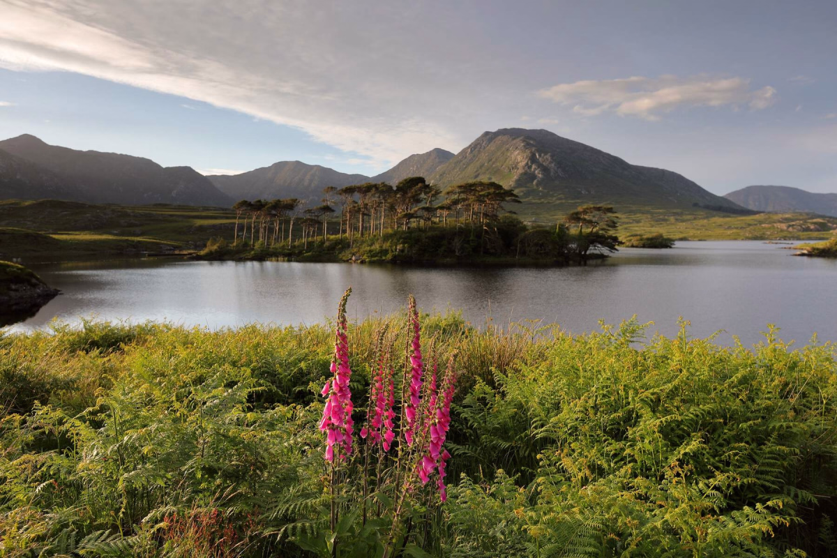 Voyage à vélo - Connemara à Pied et à Vélo : Entre Mer et Montagnes