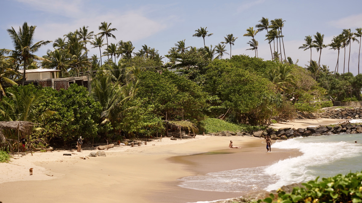 Trek - 5 jours de camp de surf à Weligama