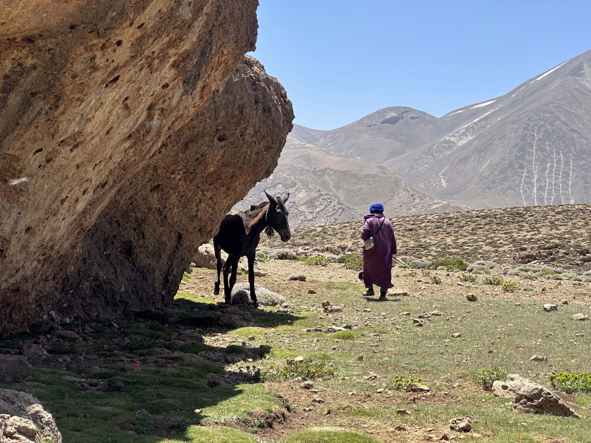 Trek dans l'Atlas, de Ait Bouguemez à la vallée des Roses