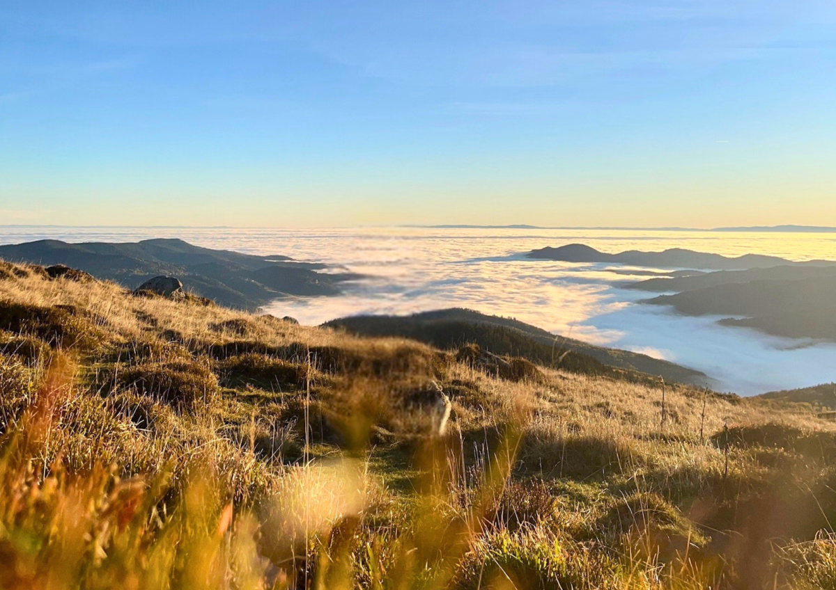 Randonnée au grand air dans les Vosges sauvages