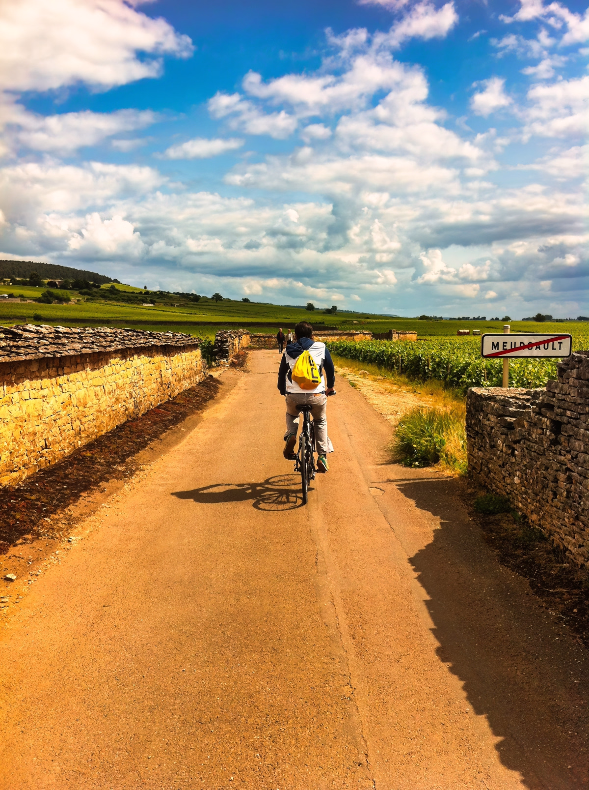 Voyage à vélo - Tour de Bourgogne à vélo entre vignes et villages historiques