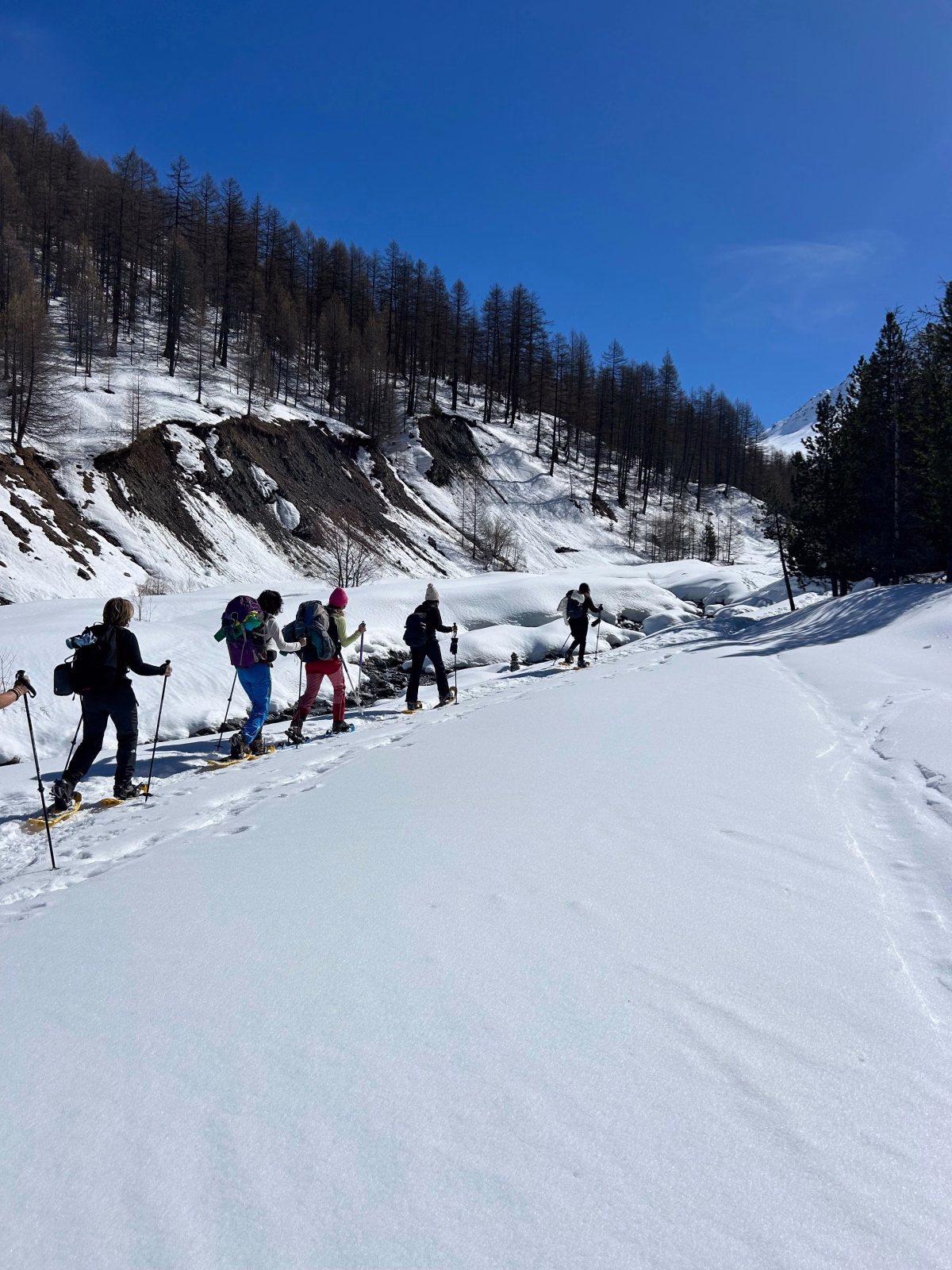 Voyage en Haute Montagne - Évasion hivernale au Monêtier : raquettes et bien-être au sommet