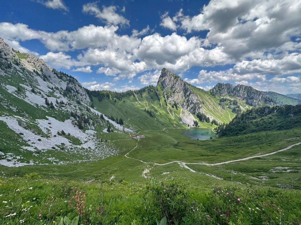 Trail - Stage trail initiation dans les montagnes du Chablais