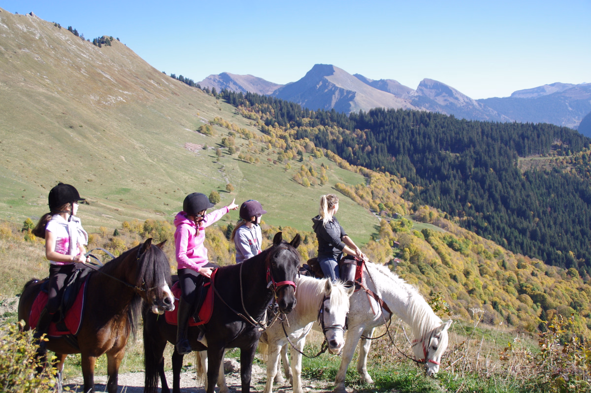 Voyage à cheval - Premiers pas à cheval dans les Alpes, entre sentiers et refuge
