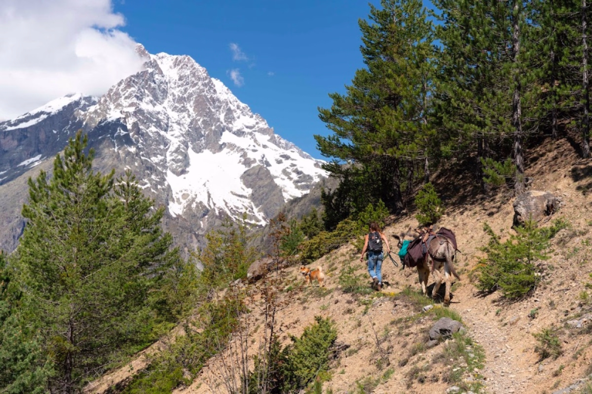 Voyage avec ânes - Randonnée avec un âne dans les paysages secrets des Écrins