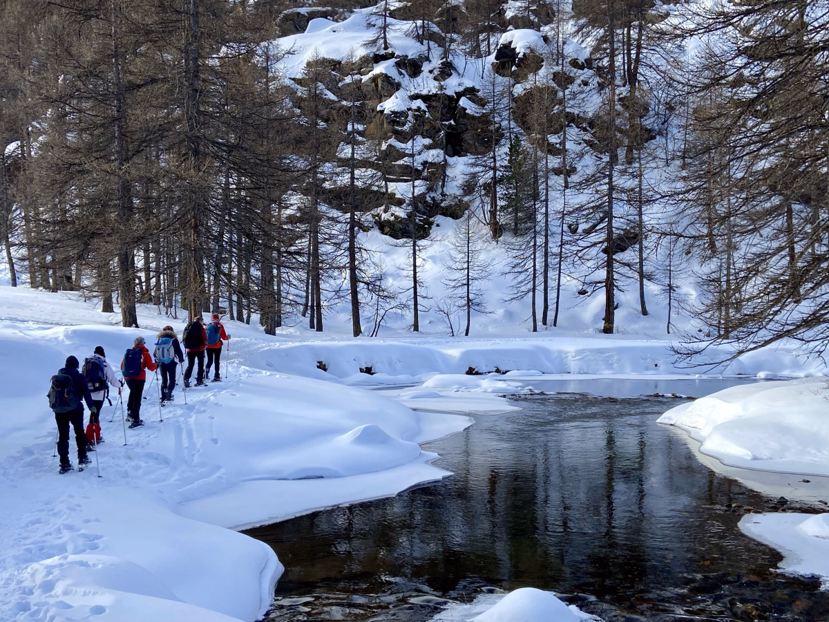 Raquettes et nature sauvage dans la vallée de la Clarée