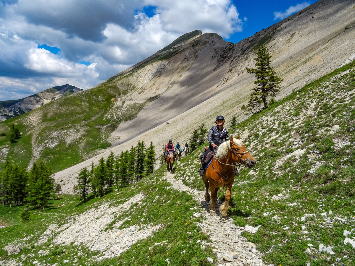 Voyage à cheval - Immersion équestre entre Provence et Montagnes