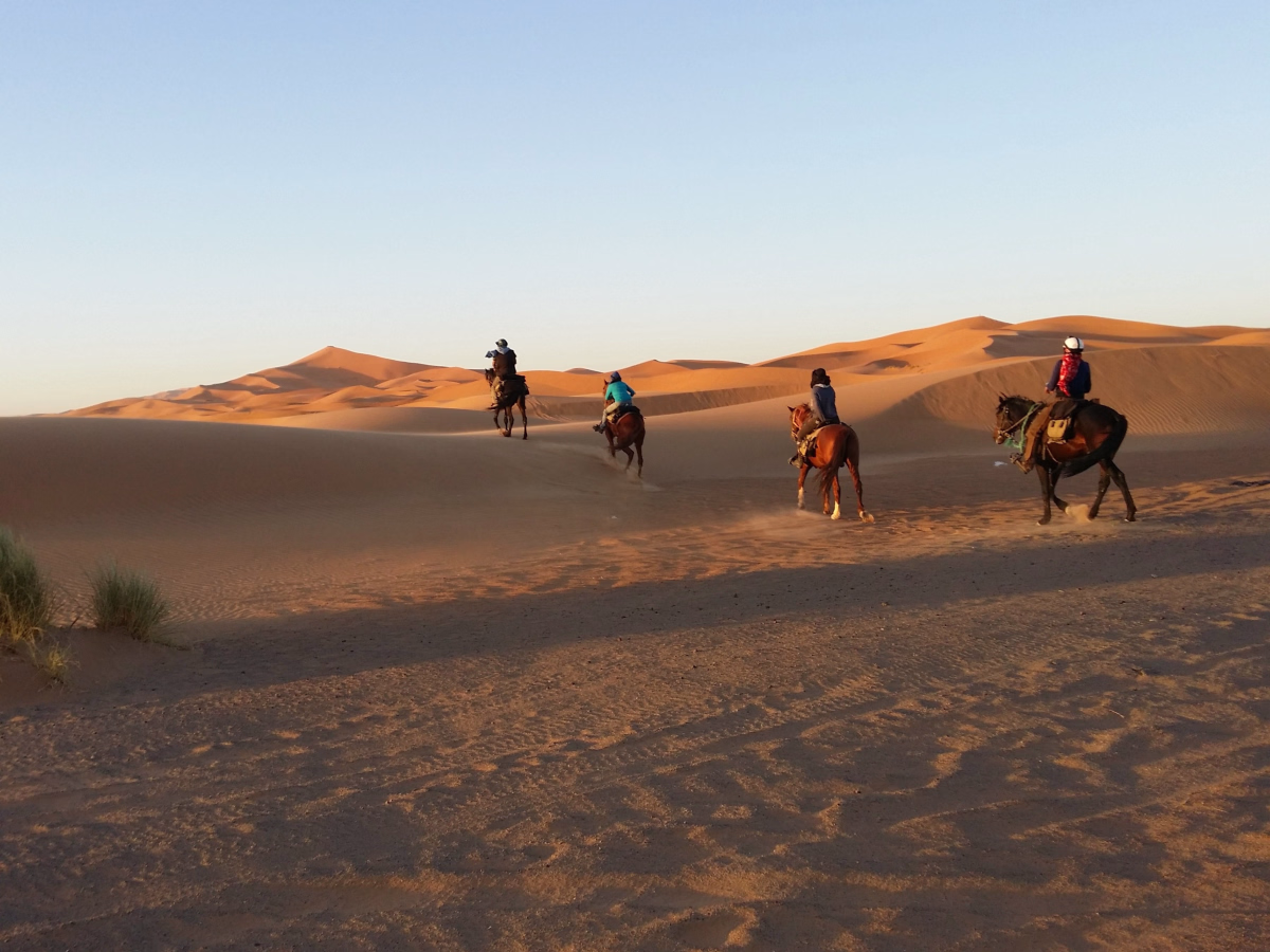 Voyage à cheval - Randonnée équestre dans le désert du Sahara
