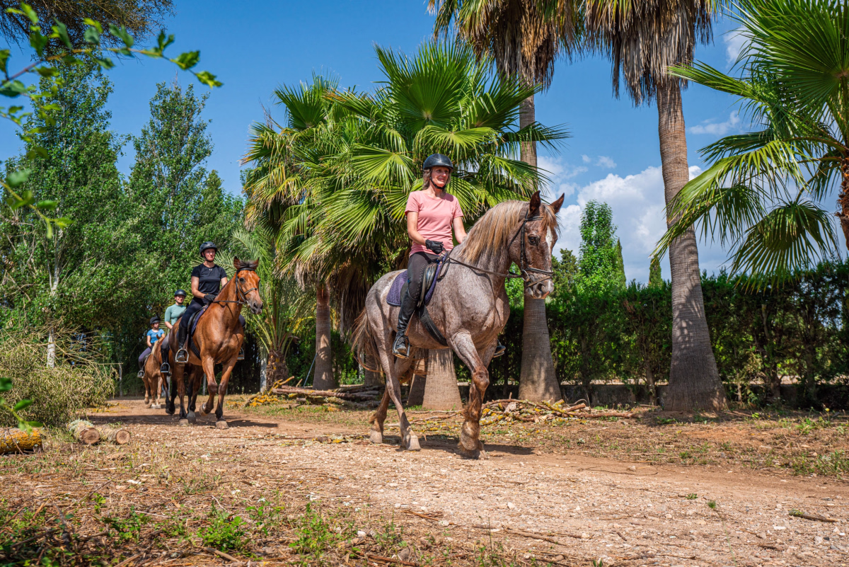 Initiation à l'équitation sous le soleil de Majorque