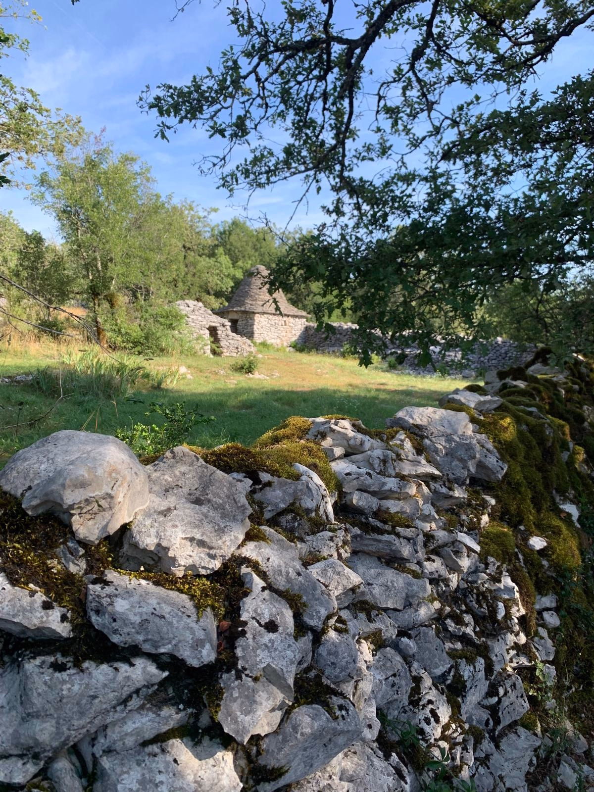 Trail - Trail  de Cahors à Espeyrac au cœur du sud-ouest
