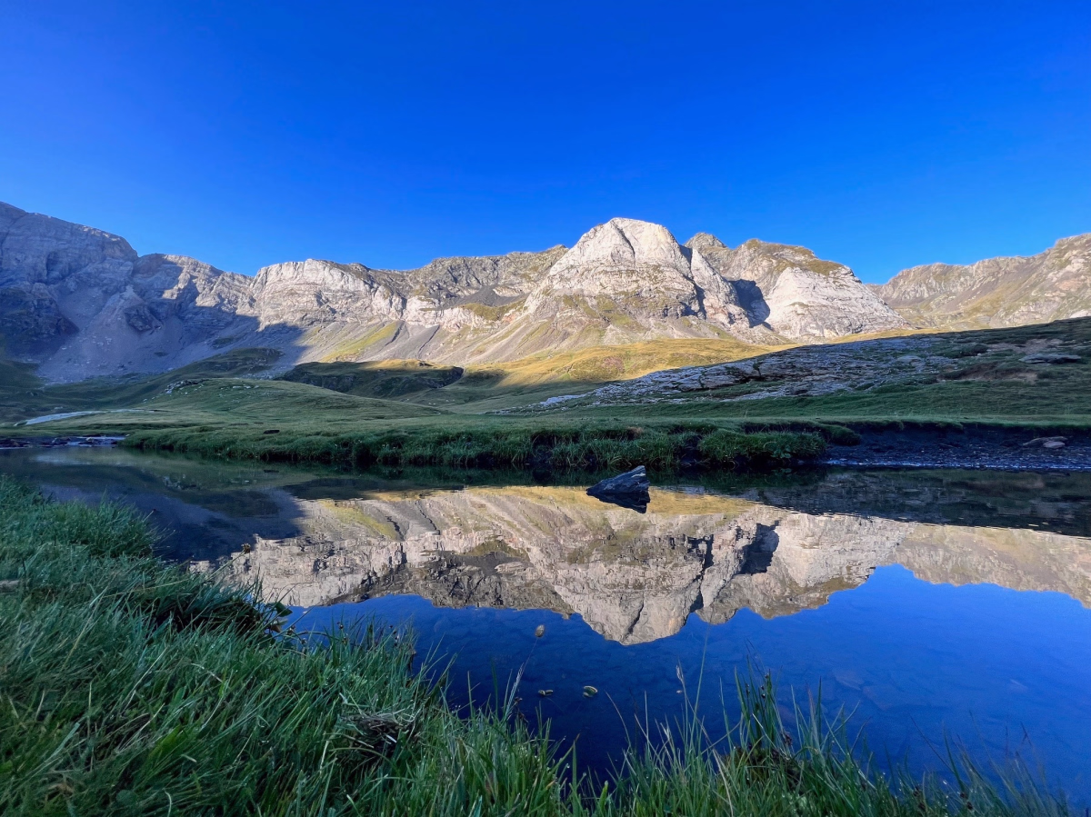 Les merveilles des Pyrénées en liberté