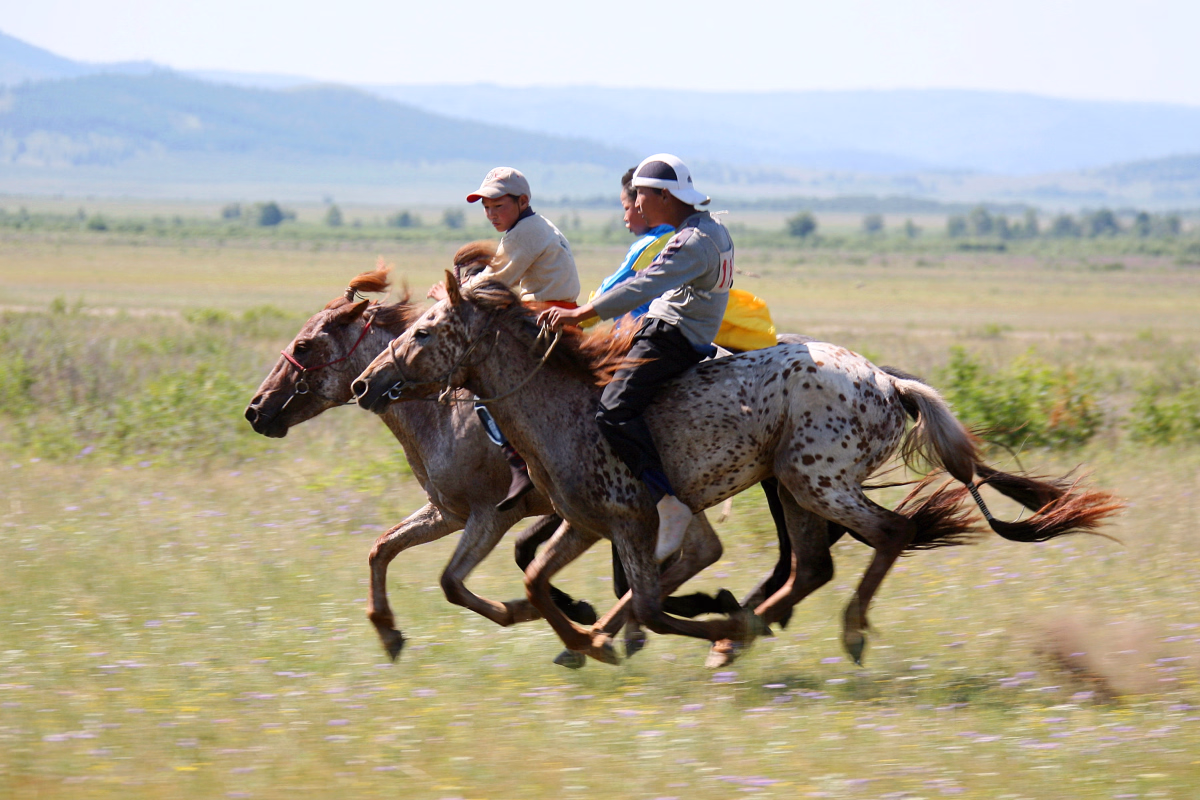 Voyage à cheval - Randonnée équestre dans la vallée de l\'Orkhon en Mongolie