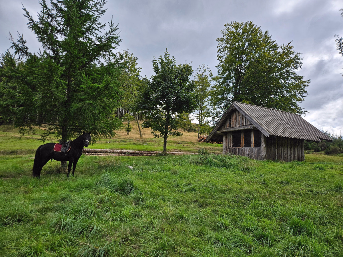 Voyage à cheval - 5 jours à cheval au cœur des Vosges sauvages