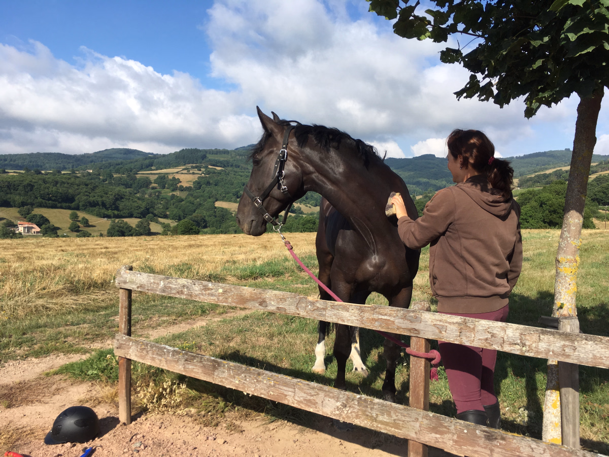 Voyage à cheval - Randonnée à cheval et détente dans le Brionnais