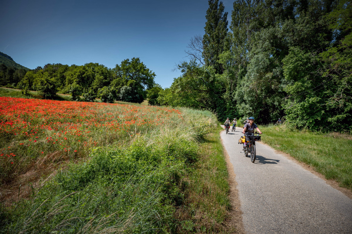 Voyage à vélo - Week-end en Ardèche en vélo cargo électrique