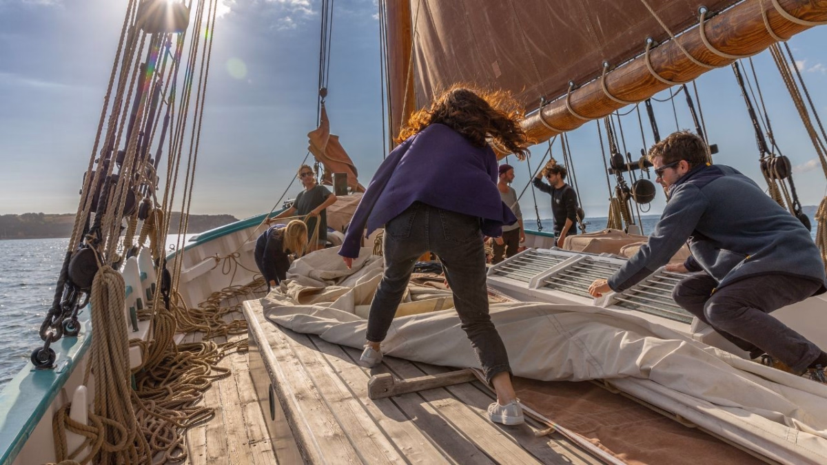 Croisière Bretonne, à la découverte du Golfe du Morbihan