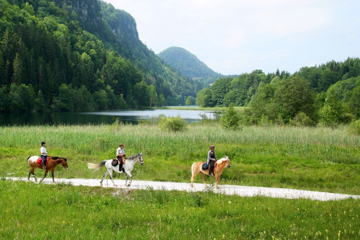 Voyage à cheval - À cheval dans le Jura sauvage entre forêts et lacs