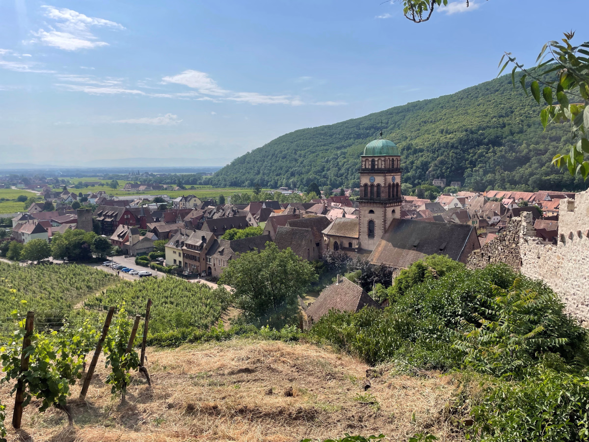 Ballons d'Alsace et Route des Vins à pied en 4 jours