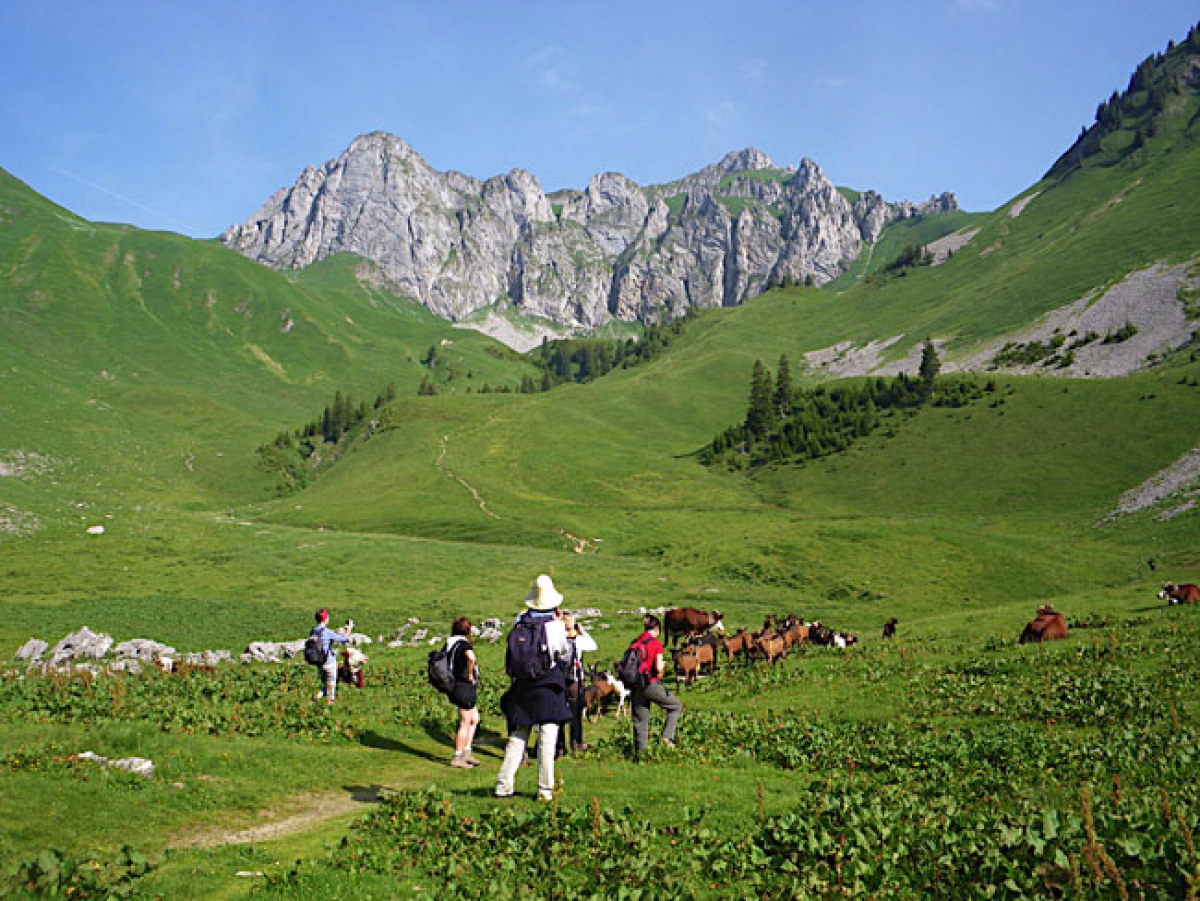 Randonnée dans les Alpes du Léman