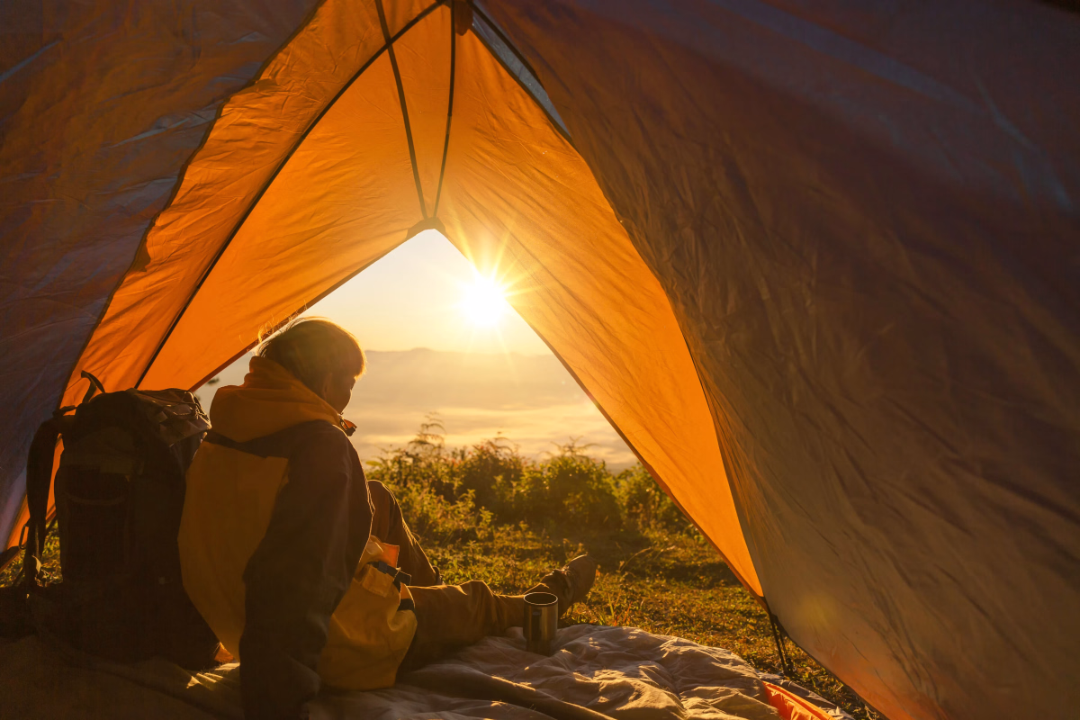Micro-aventure bivouac et survie en forêt