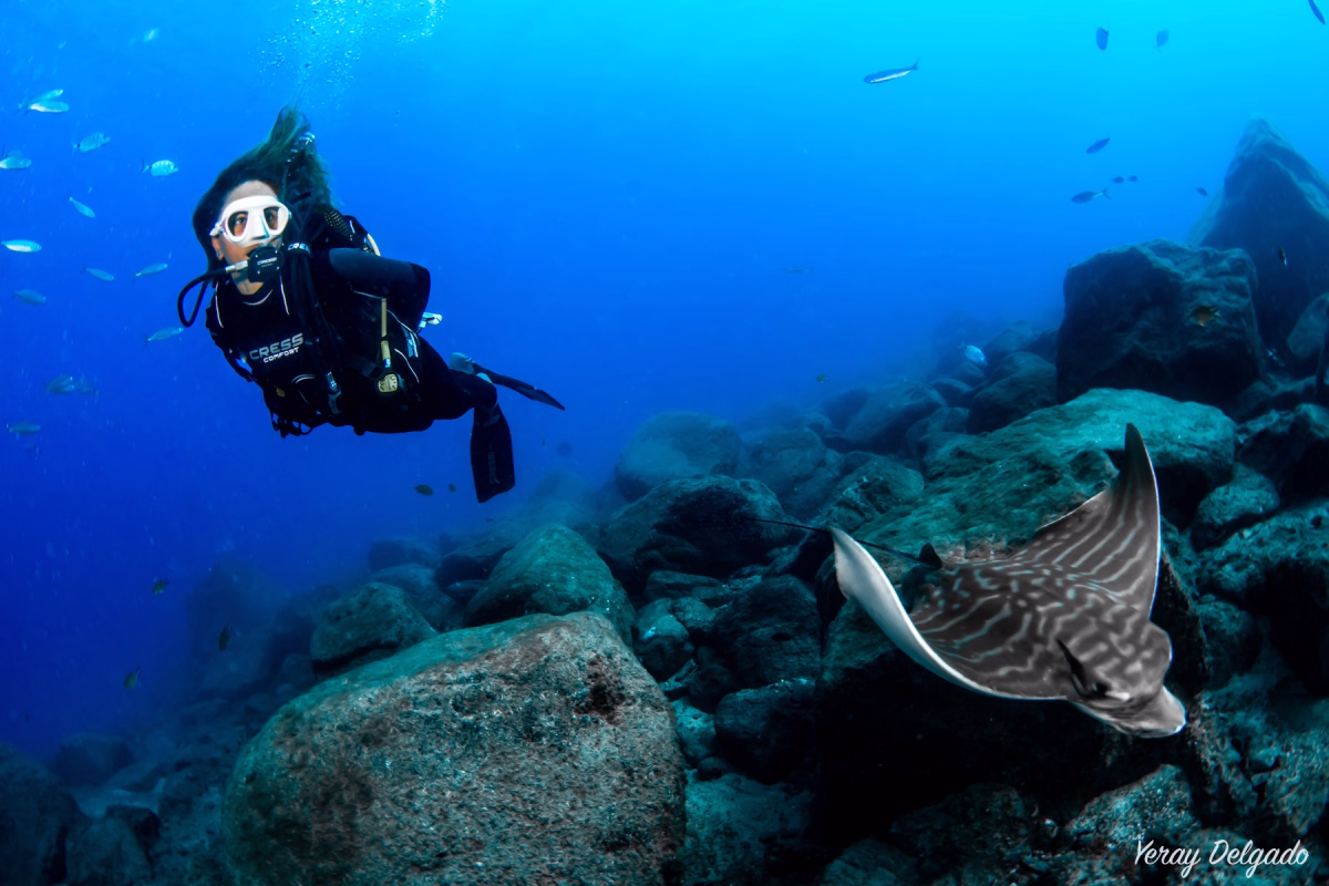 Plongée Advanced Open Water PADI à Tenerife