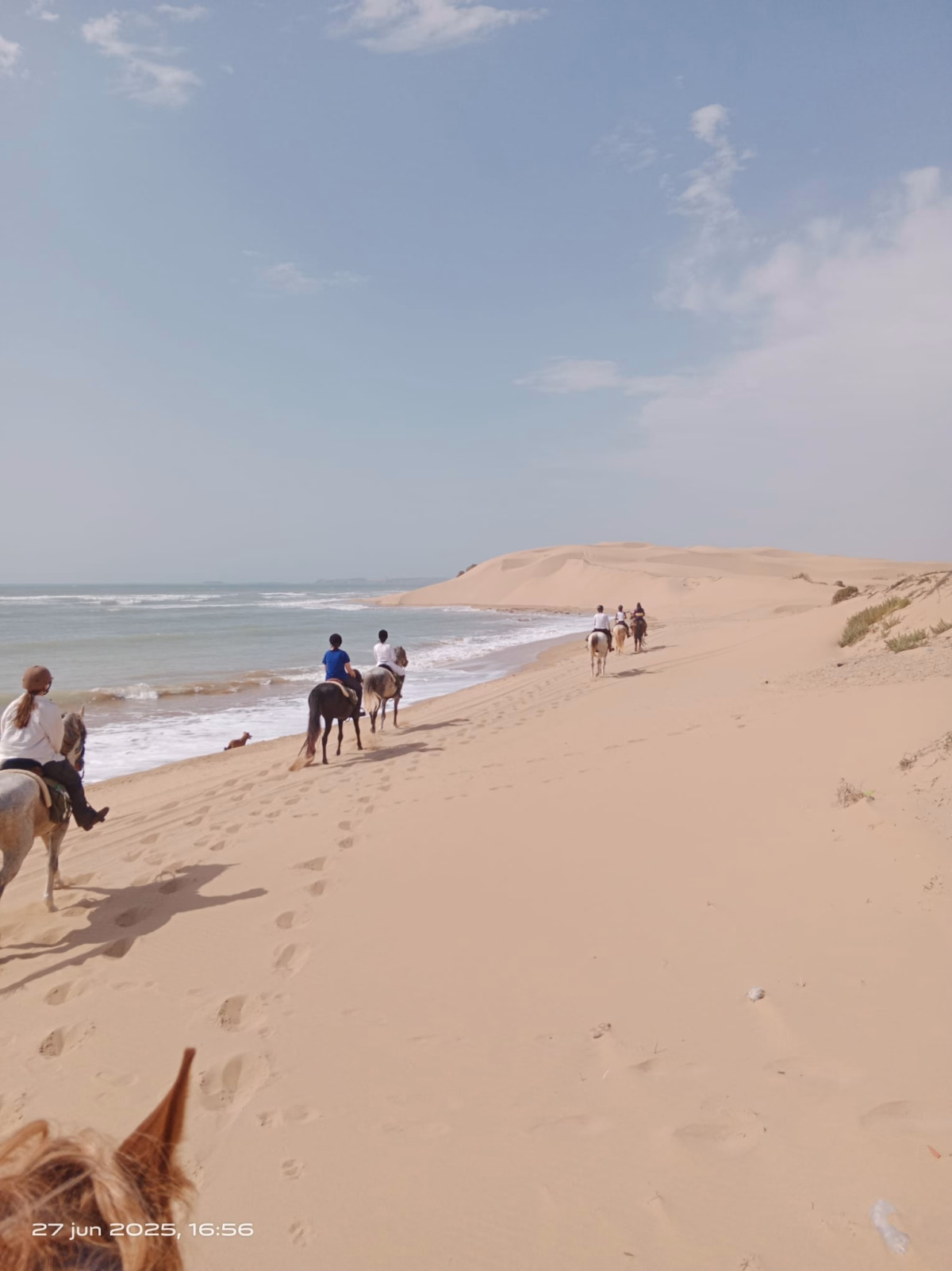 Voyage à cheval - La Boucle d\'Iftane - Randonnée équestre à Essaouira