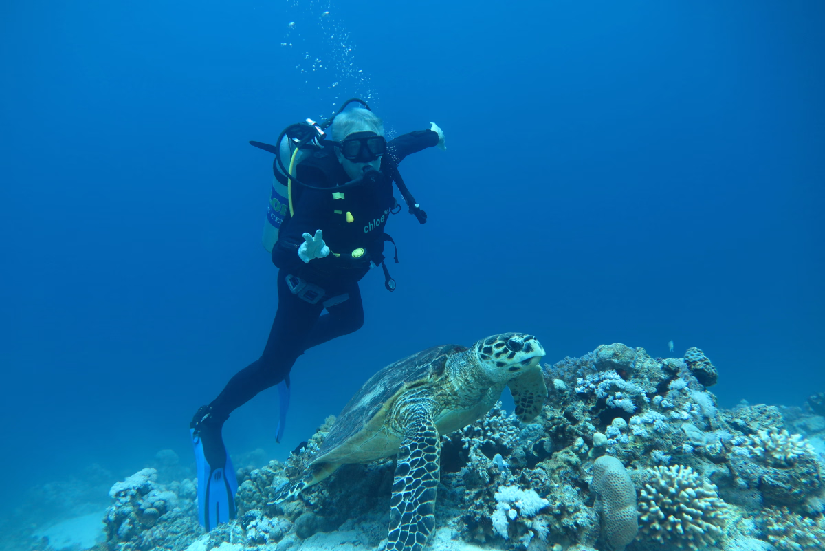 Trek - Formation plongée Open Water et temps libre à à Hurghada