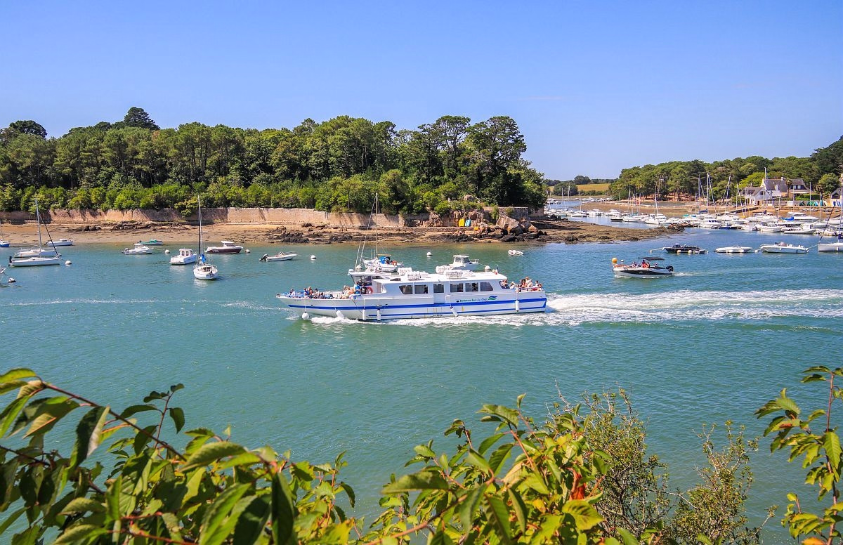 Nouvel an dans le Golfe du Morbihan et ses îles