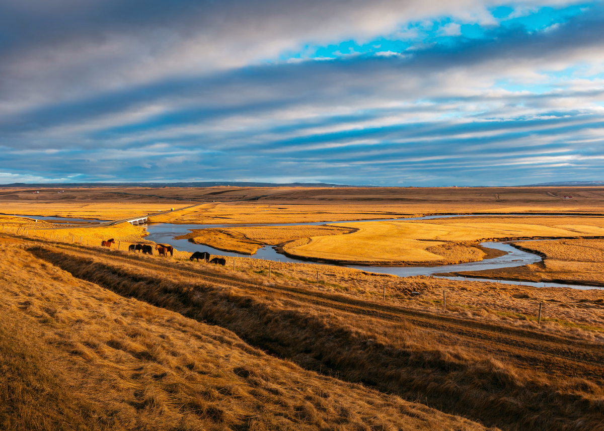 Voyage à cheval - Séjour à cheval en Mongolie entre steppe et culture nomade