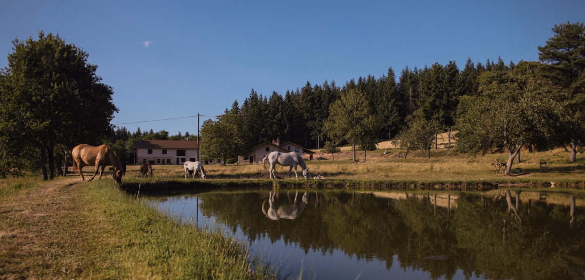 Voyage à cheval - Randonnée équestre dans le bocage du Brionnais