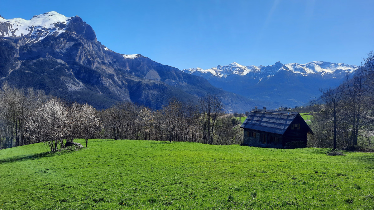 Yoga et jeux de connexion à la nature dans le massif des Écrins