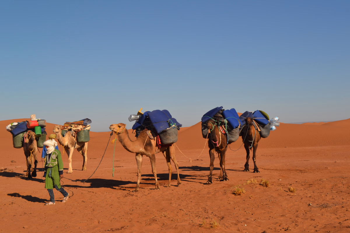 Trek - Trek saharien dans la vallée du Drâa entre palmeraies et dunes