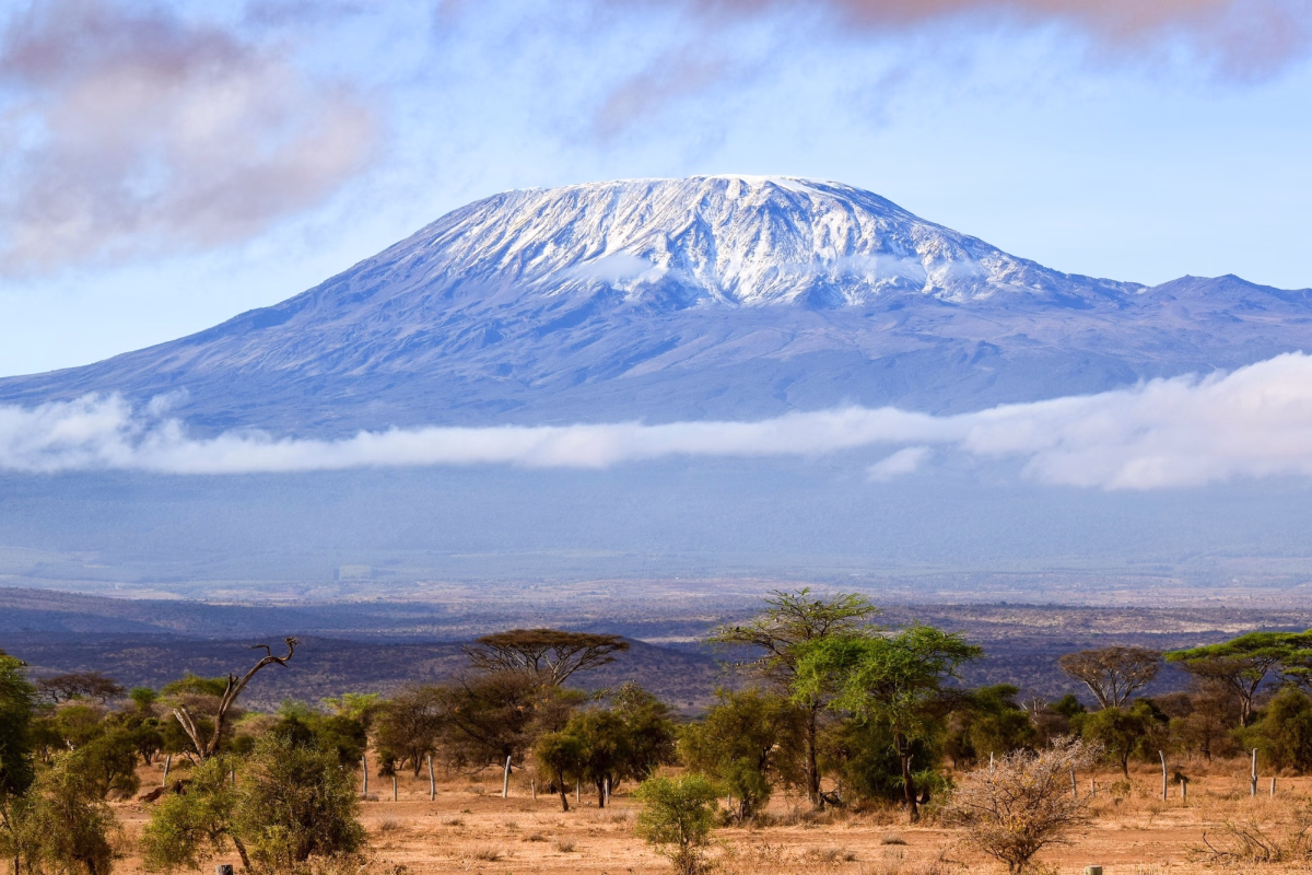 Safari - Entre ascension mythique du Kilimandjaro et safari