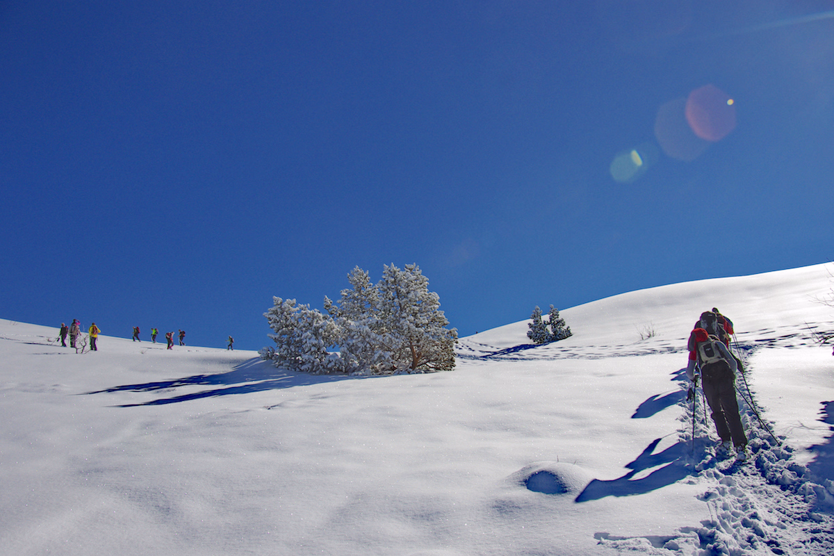 Randonnée hivernale en liberté dans le Vercors